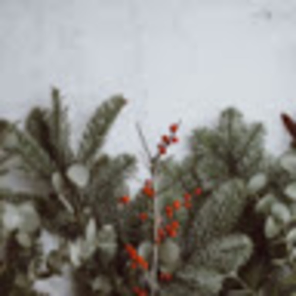 Meet your Posher, Sophie - Picture 1 of 1